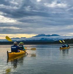 Kayaking Okarito Lagoon