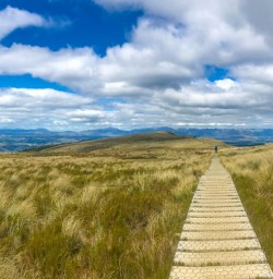 Kepler Track and Te Anau