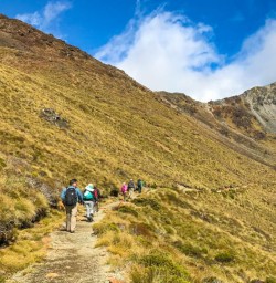 Kepler Track scenery