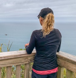 Knights Point Lookout, Haast Pass West Coast New Zealand