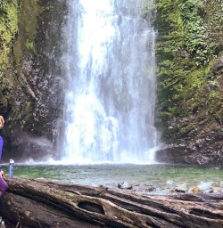 Hollyford Track Falls, Fiordland National Park Southland New Zealand