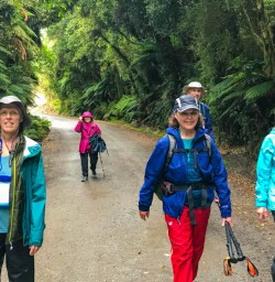 Lake Matheson hike