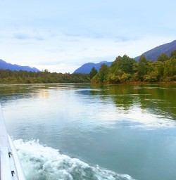 view from the jetboat