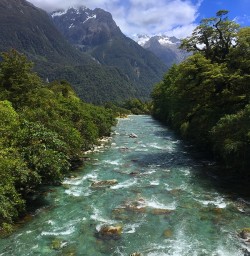 Milford Track River