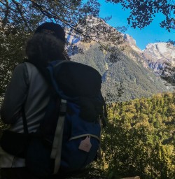 Mount Madeline at Hollyford track, Fiordland New Zealand