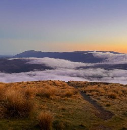 Nelson lakes national park5