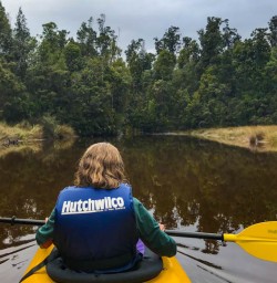 Okarito kayak tour