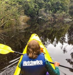 Paddling through Okarito Lagoon