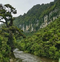 Pororari River track