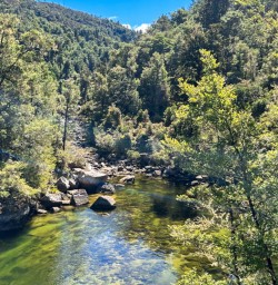 River Abel Tasman National Park
