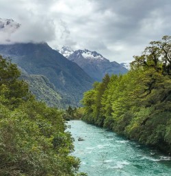 River on Hollyford Track