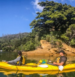 Kayaking the Marlborough Sounds, New Zealand