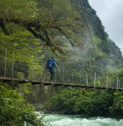 Swing bridge Hollyford Track