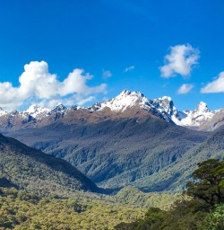 Views of the Hollyford