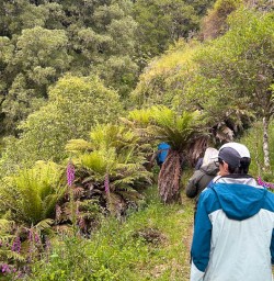 Waitomo caves adventure tour