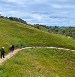 Waitomo walk