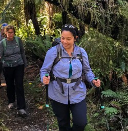 Walking the Hollyford track, Fiordland New Zealand