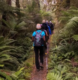 Walking the Hollyford track, Fiordland New Zealand