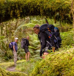 Walking the Hollyford track, Fiordland New Zealand