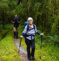 Walking the Hollyford Track