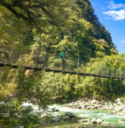 Hollyford Track swingbridge crossing