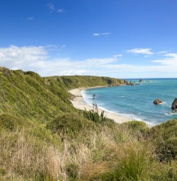 Cape Foulwind walkway views
