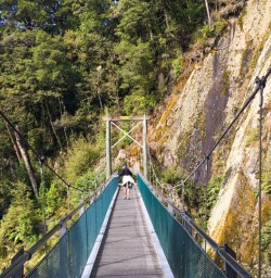 10. Haast Pass Swing bridge