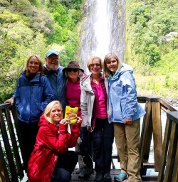 Thunder Creek Falls at Haast Pass