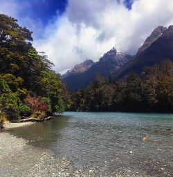 Hiking Hollyford Track