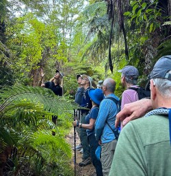 Abel Tasman Track between Torrent Bay and Awaroa