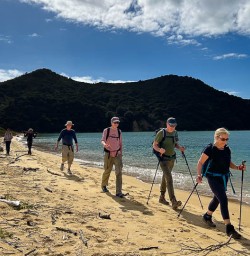 Able Tasman National Park adventure walking tours 