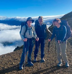 Bushline Hut to St Arnaud 