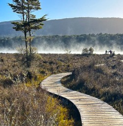 Kepler Track hiking tours