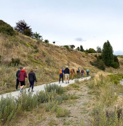 Lake Wanaka