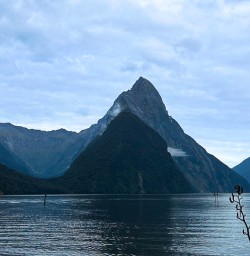 Milford Sound adventure tours 