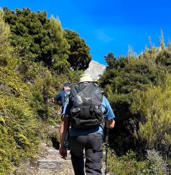 Mount Cook National Park walking tours 