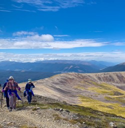 New Zealand walking tours 2