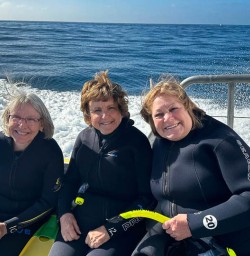 Ready to swim with dolphins 