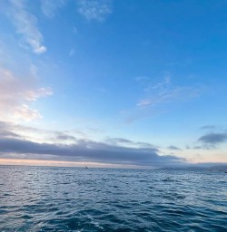 Sunrise in Kaikoura