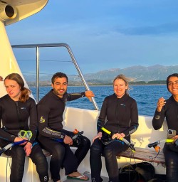 Swimming with dolphins in Kaikoura 