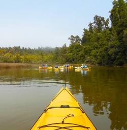 Calm waters for a Kayak on Okarito Lagoon