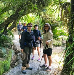 Hiking Paparoa National Park
