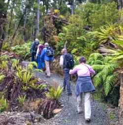 Hiking Pororari loop track