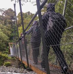 Passing bridge at Hollyford track, Fiordland New Zealand