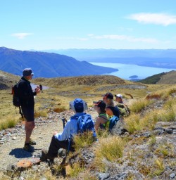 hollyford track