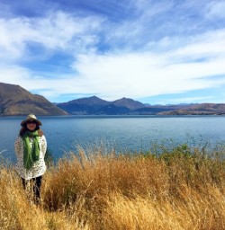 view on lake wakatipu