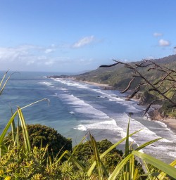 Meybille Bay, West Coast New zealand