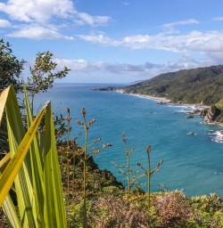 Meybille Bay, West Coast New zealand