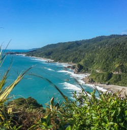 Meybille Bay, West Coast New Zealand