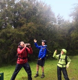 Hiking Mt Robert